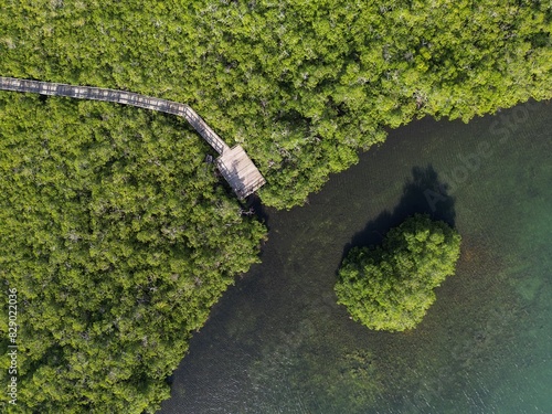 Cenital drone picture of a natural park in san andres island in Colombia. This is the Old point mangrove park. photo