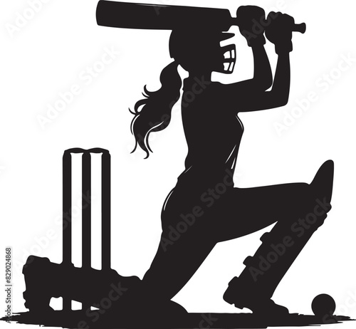 Cricket Player Silhouette Kneeling Bat Swing