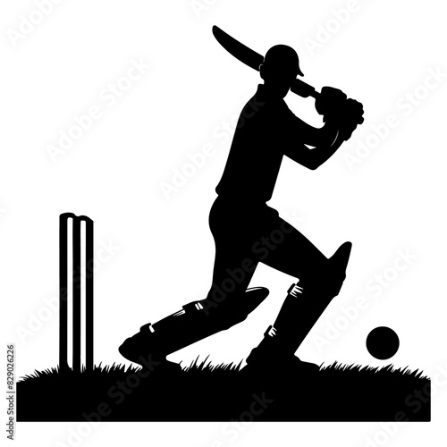 Cricket Player Silhouette Kneeling Bat Swing