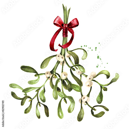 Canvastavla Mistletoe or Viscum branches with leaves and berries bunch