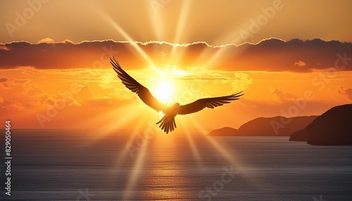 divine sunset ocean bird flying inspirational uplifting beautiful spiritual ethereal hope silhouette sun rays photo