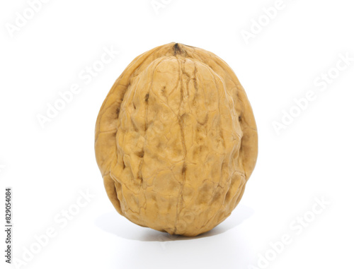Single fernor walnut, isolated on white background