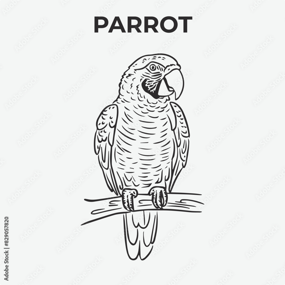 Fototapeta premium Parrot bird Detailed Outline for Artistic Coloring. Vector Illustration