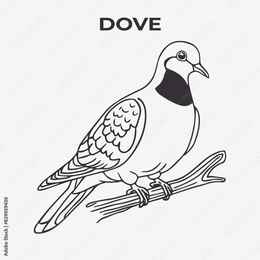Fototapeta premium Dove bird Detailed Outline for Artistic Coloring. Vector Illustration