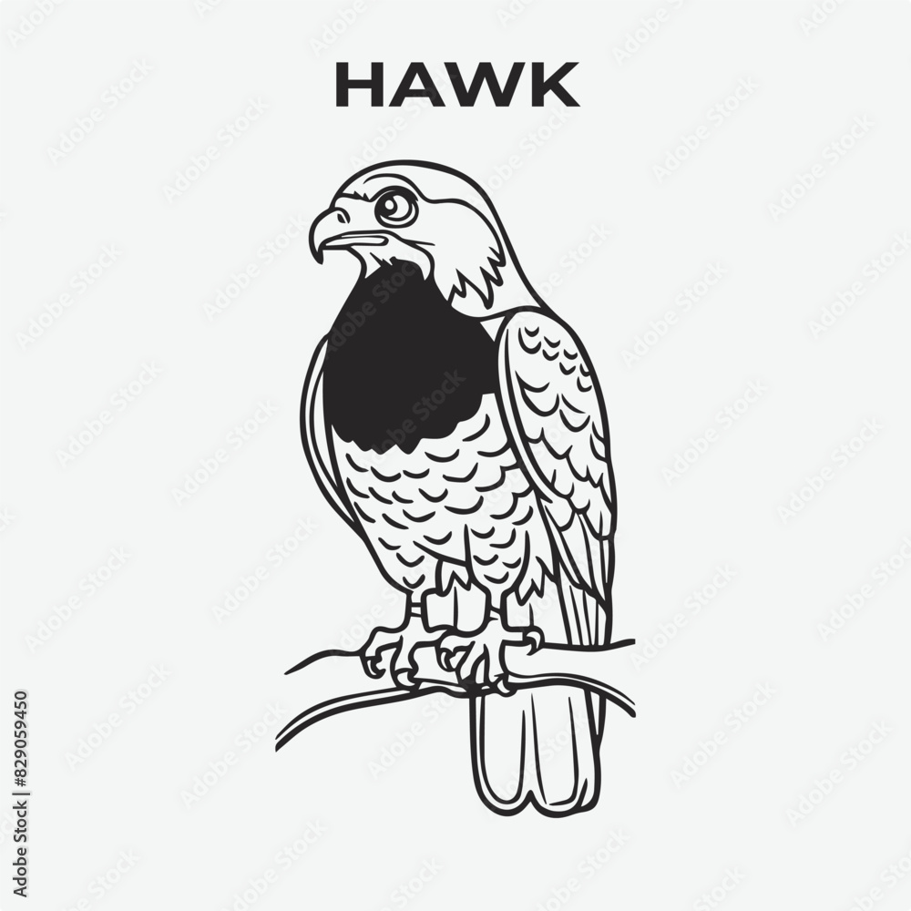 Fototapeta premium Hawk bird Detailed Outline for Artistic Coloring. Vector Illustration