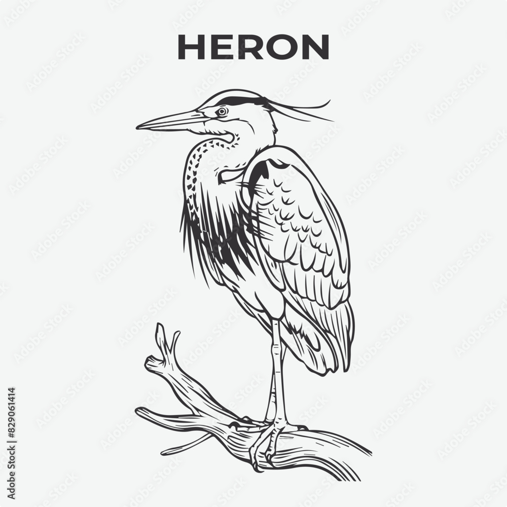 Fototapeta premium Heron bird Detailed Outline for Artistic Coloring. Vector Illustration