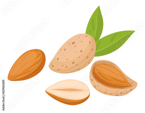 Cartoon almonds. Delicious tasty almond snack, raw almonds in shell flat vector illustration. Crunchy almond nuts on white