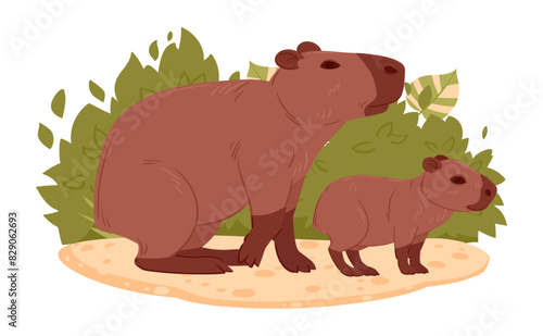 Cartoon capybaras. Wild mom and baby mammals in natural habitat herbivore, semi-aquatic animals flat vector illustration. Cute capybaras