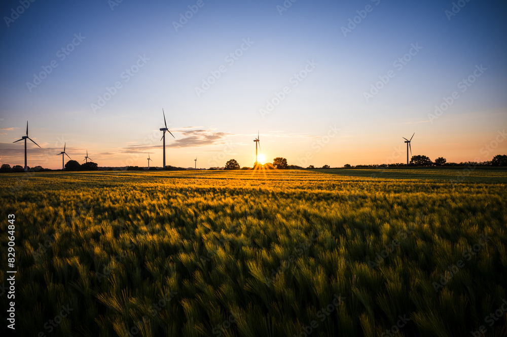 Sonnenuntergang am Feld Sonnenuntergang am Feld