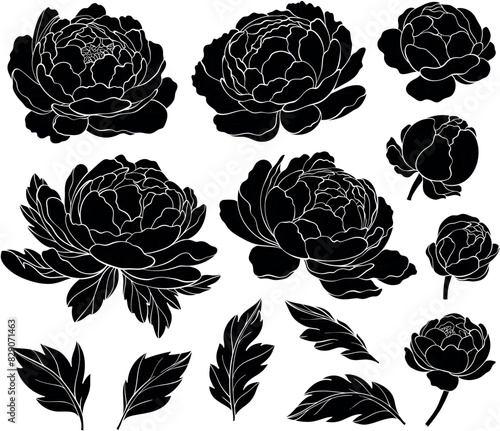 Set of silhouettes of peony flowers