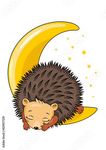 Cute hedgehog sleeping on the moon