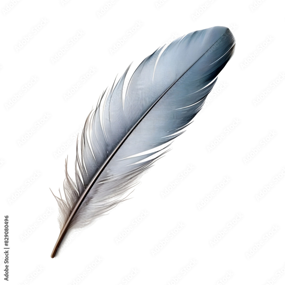 Blue feather isolated on transparent background Blue feather isolated on transparent background