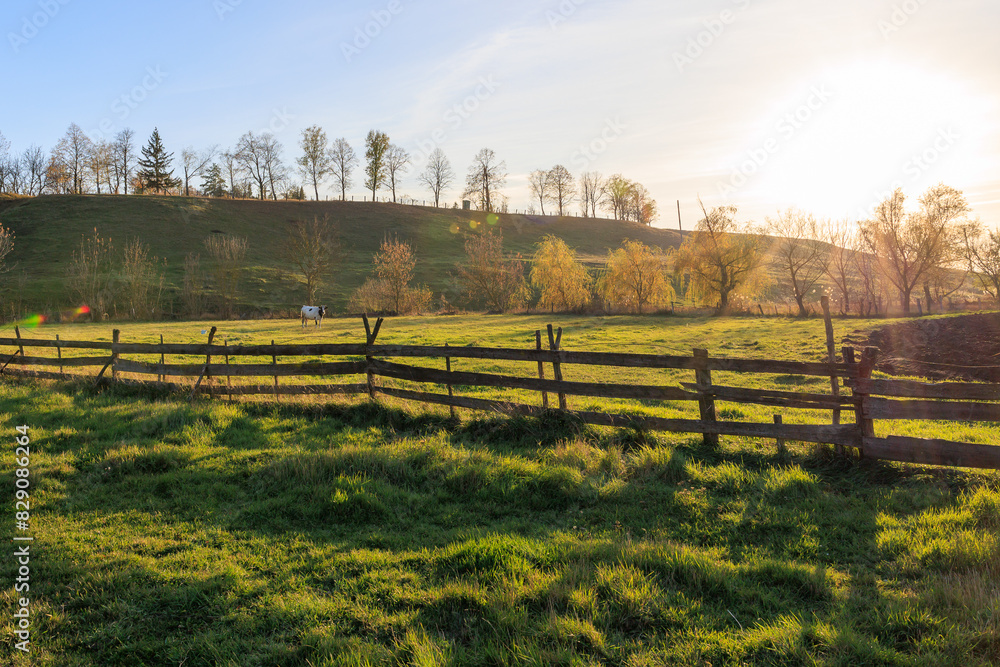 A horse is grazing in a field with a wooden fence A horse is grazing in a field with a wooden fence
