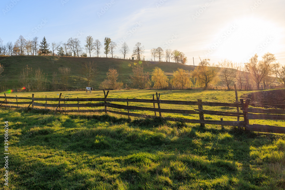 A horse is grazing in a field with a wooden fence