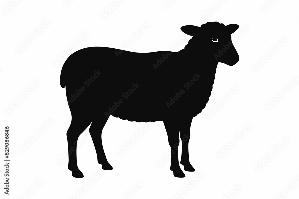 Black silhouette of a sheep standing, livestock animal, farm, agricultural concept, illustration. Black silhouette isolated on white background.