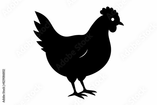 Silhouette of a rooster with detailed feathers. Black chicken in side view. Rural life, farm animal, bird illustration, livestock concept. Black silhouette isolated on white background.