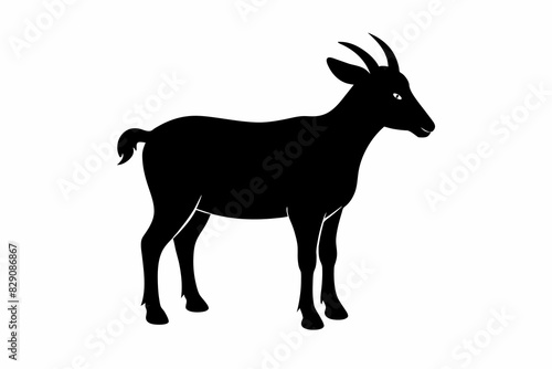 Silhouette of a goat with curved horns. Animal illustration. Wildlife concept. Farm, livestock, nature, rural scene. Black silhouette isolated on white background.