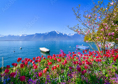 Lakeshore mountain landscape with spring tulips in bloom, Lake Geneva, Switzerland photo