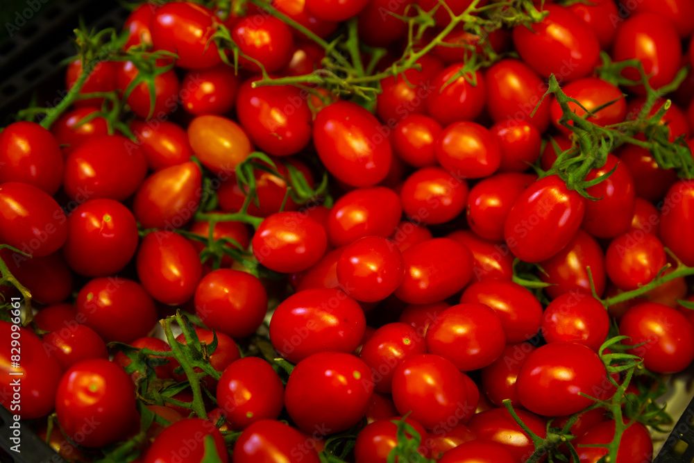 Closeup of ripe red tomatoes cherry on a branch on the farmers market
