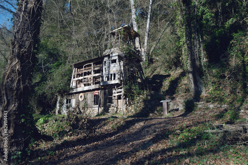 Cabaña en el bosque