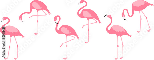 Cartoon vector flamingo, pink swan icon, tropical bird, summer animal set, cute zoo character isolated on white background. Exotic fauna illustration