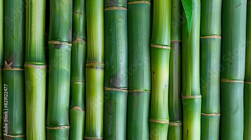 Majestic bamboo stalks reaching towards the sky  showcasing the vibrant green hues and natural symmetry