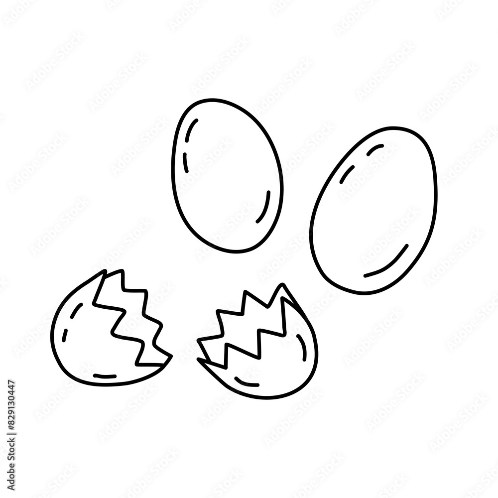 Fresh farm eggs whole and broken, doodle style flat vector outline for coloring book Fresh farm eggs whole and broken, doodle style flat vector outline for coloring book