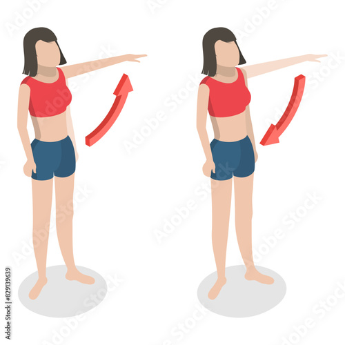 3D Isometric Flat Illustration of Muscular Motion, Abduction and Adduction Movements. Item 5