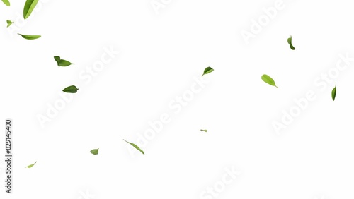 Green natural tea leaves with alpha channel, 3d rendering.