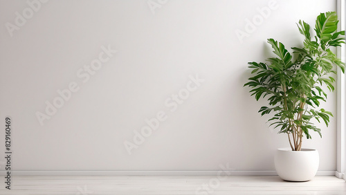 A white wall with a potted plant in the corner © Rizki Ahmad Fauzi