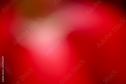 Colorful red blurry abstract background