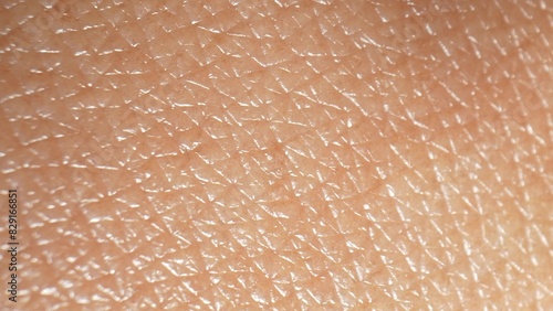 Macro explores human skin intricacies, revealing mesmerizing complexity at microscopic level through intimate close-up shots showcasing variations, patterns, imperfections. Skin background. 
