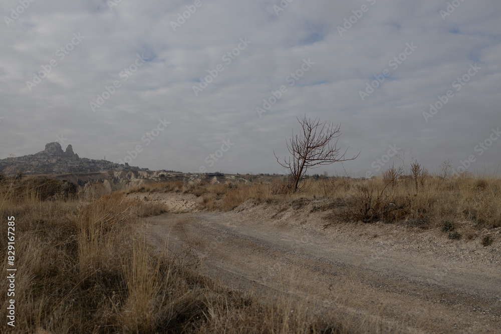 landscape overlooking the rocks of the ancient city Cappadocia in Türkiye.