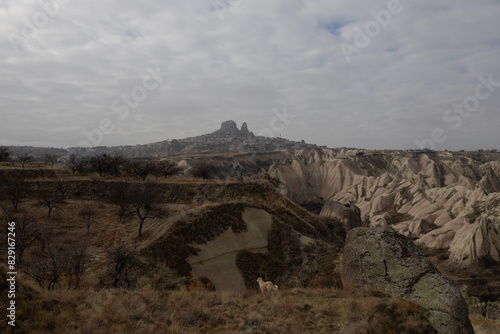 Obraz na płótnie landscape overlooking the rocks of the ancient city Cappadocia in Türkiye. w salonie