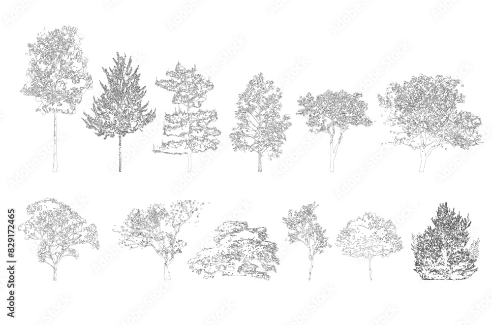 Minimal style cad tree line drawing, Side view, set of graphics trees elements outline symbol for architecture and landscape design drawing. Vector illustration in stroke fill in white. Tropical