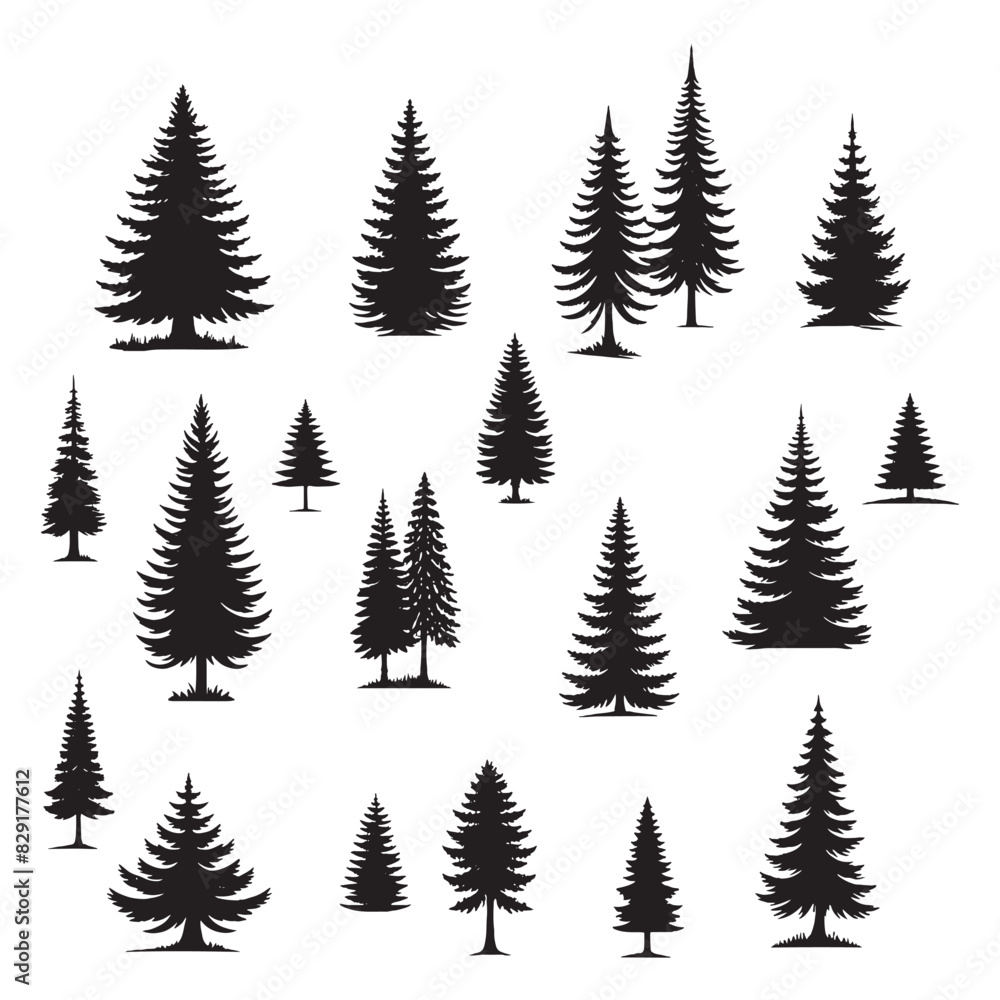 set of pine trees silhouettes on white	