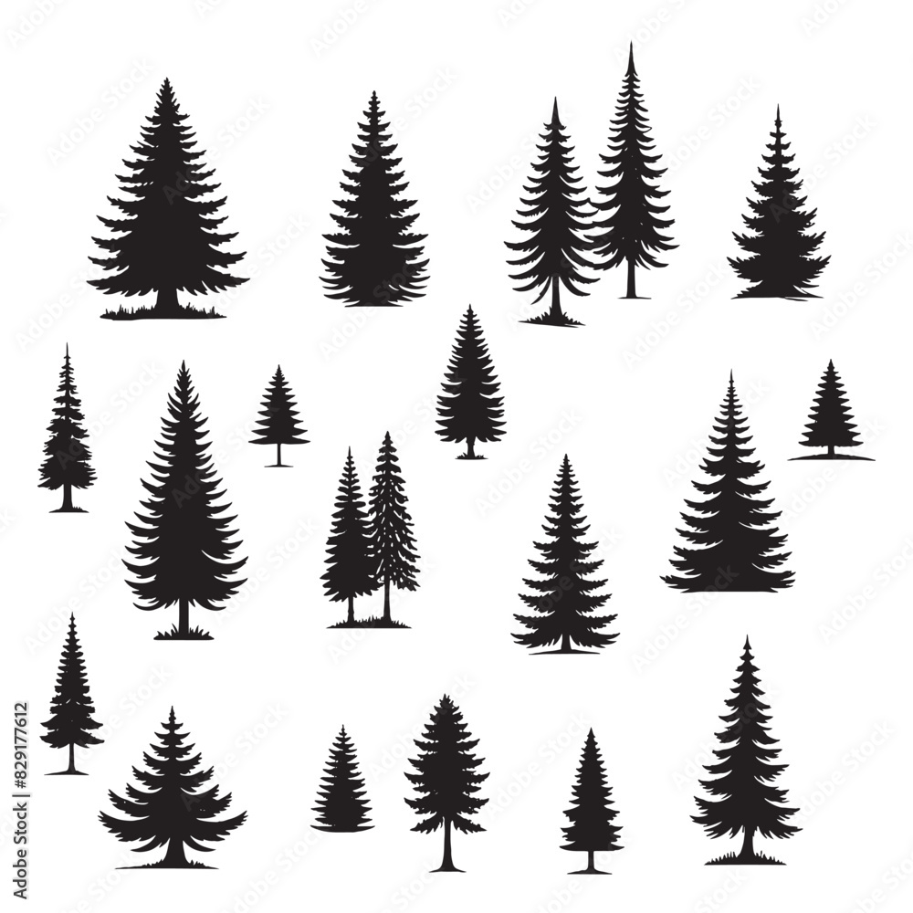 Obraz premium set of pine trees silhouettes on white 