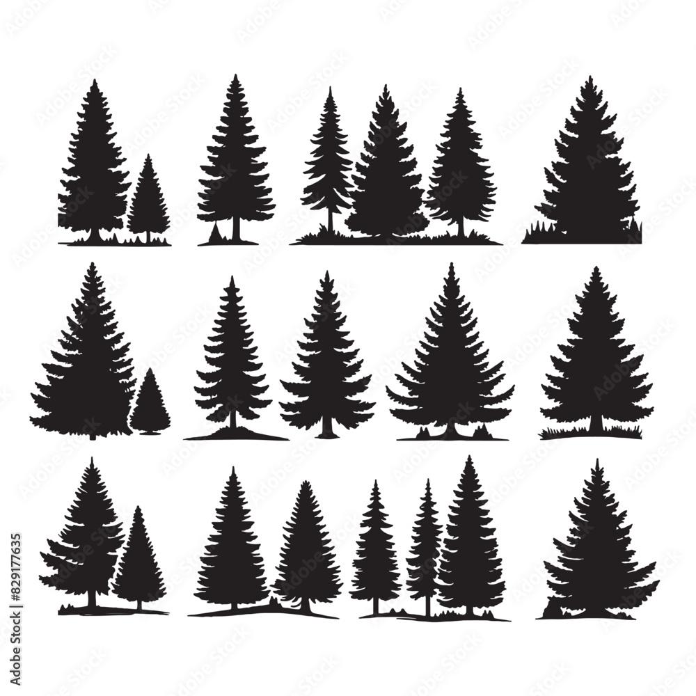 set of pine trees silhouettes on white	