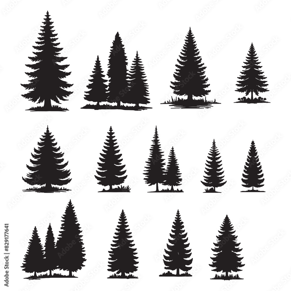 Obraz premium set of pine trees silhouettes on white 