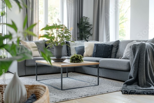 Bright living room with cozy grey sofas and coffee table on soft carpet © LimeSky