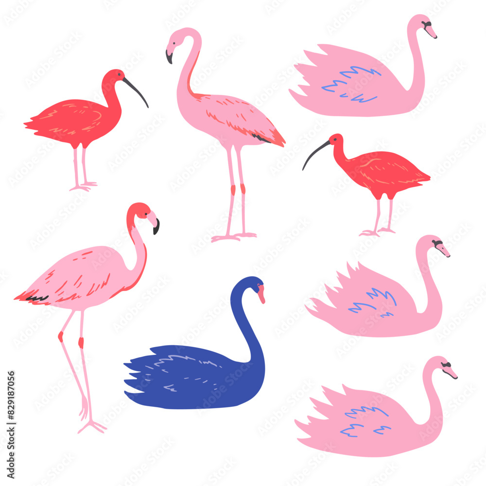 Obraz premium Set of pink flamingo and swans and red ibis in minimalistic style. Vector illustration.