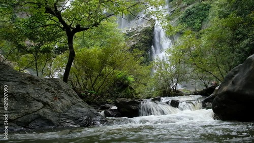 Trees blooming with green leaves and a waterfall as a backdrop in the rainy season.