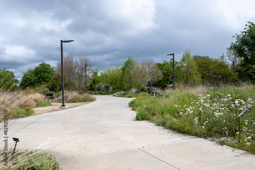 UC Davis Arboretum garden path, on a partly cloudy day in the spring featuring closed California poppies