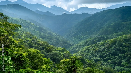 Scenic mountain landscape with lush green forests, sky and clound