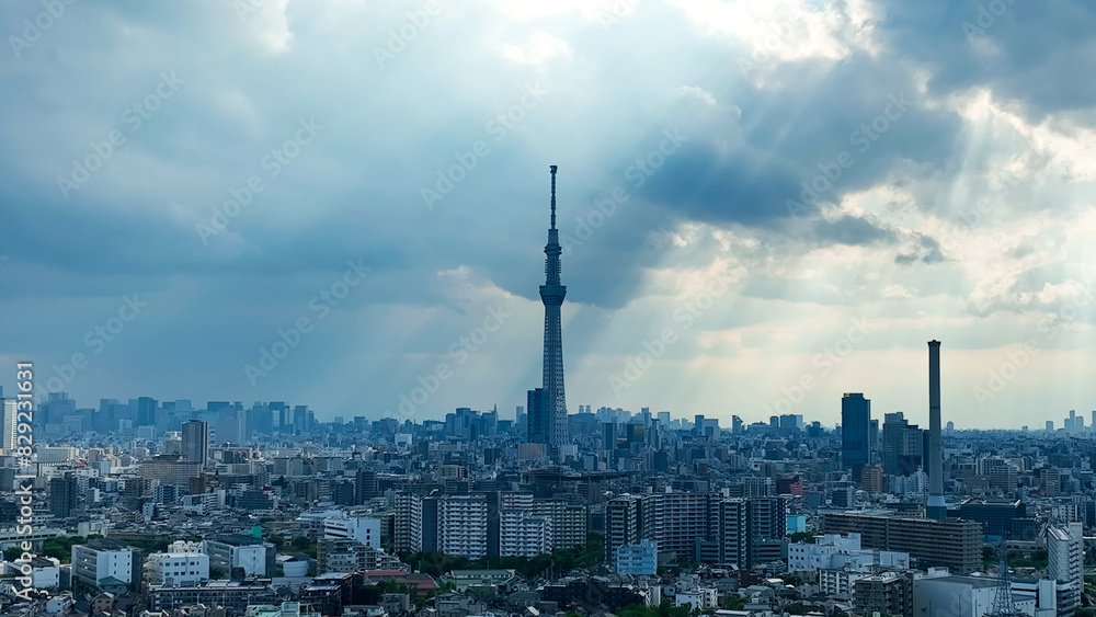 Obraz premium 東京の風景 空撮