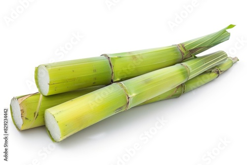 Fresh green sugarcane stalk on white background