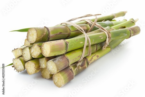 Fresh sugar cane on white background