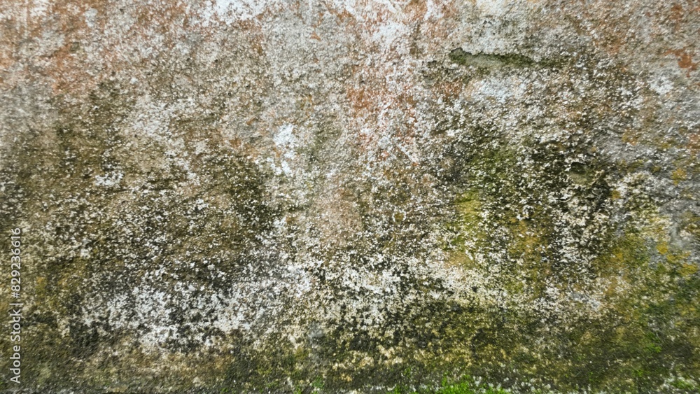 custom made wallpaper toronto digitalgreen moss on the stone