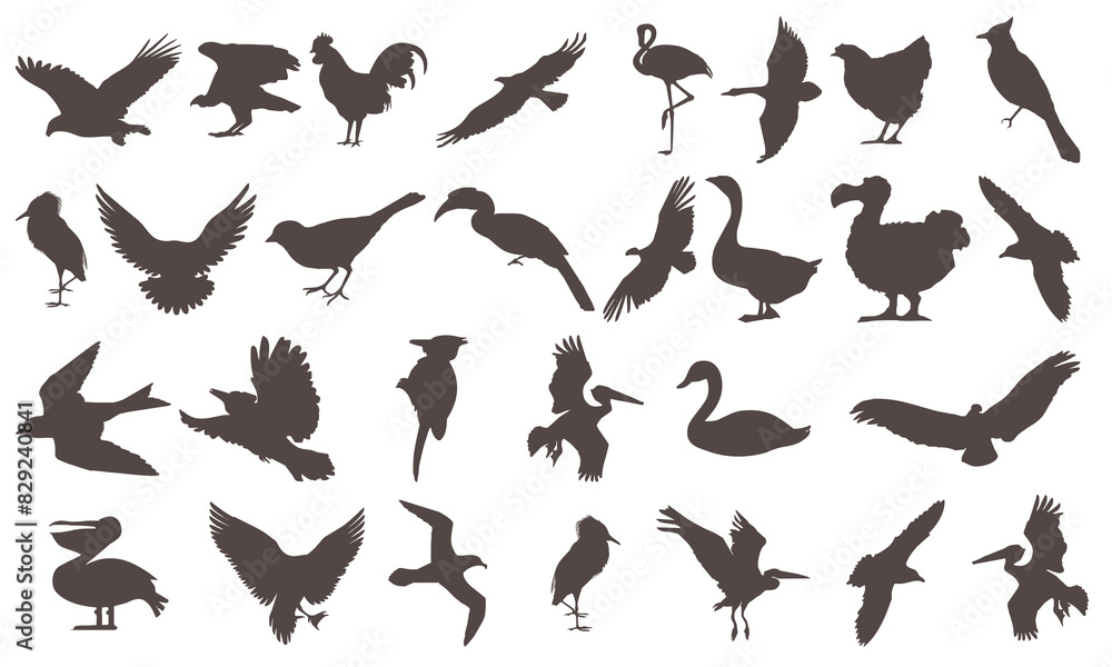 Birds icon bundle