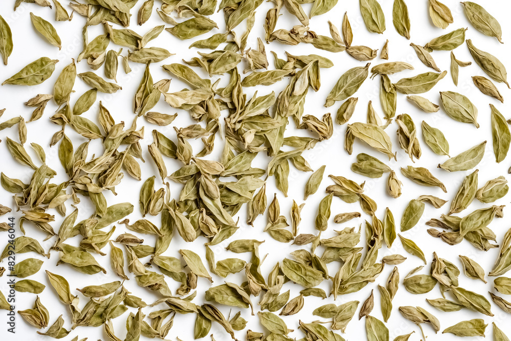 Dried Green Tea Leaves on White Background Dried Green Tea Leaves on White Background